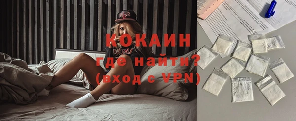 прущие крисы Бородино
