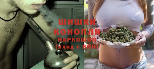 прущие крисы Бородино