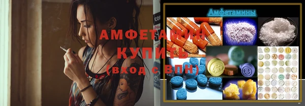 прущие крисы Бородино