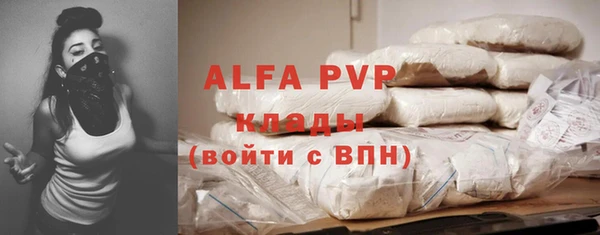 прущие крисы Бородино