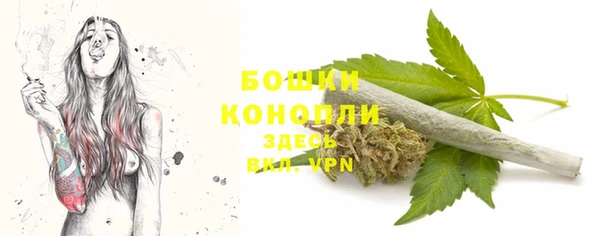 прущие крисы Бородино