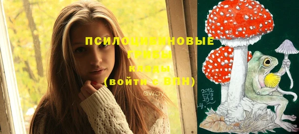 эйфоретик Бугульма