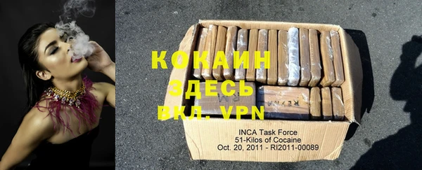 прущие крисы Бородино