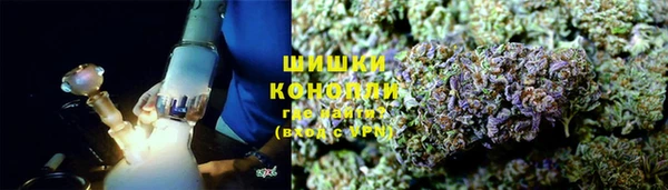 прущие крисы Бородино