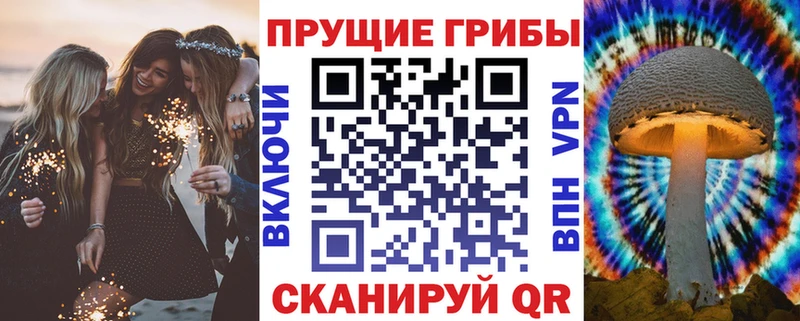 Псилоцибиновые грибы мухоморы  Купить закладки  Магадан 